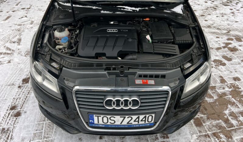AUDI A3 8P 2.0 TDI CR 170KM – SPORTY – LEDY – MULTIFUNKCJA – ALCANTARA – BOSE full